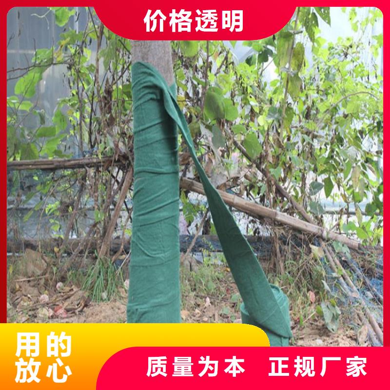 裹树布塑料土工格栅一站式采购商家