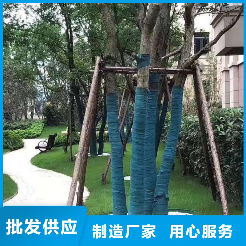裹树布硬式透水管当地货源