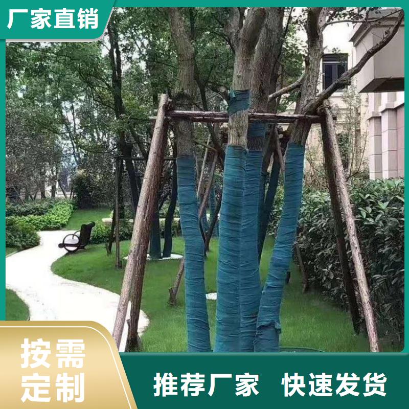 裹树布_土工格栅专业信赖厂家