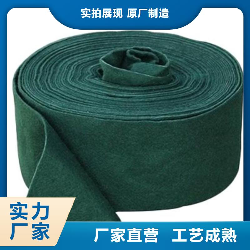 裹树布双向土工格栅技术先进