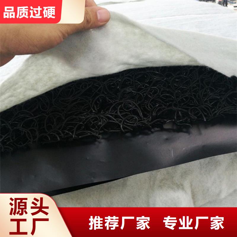 土工席垫涤纶格栅多种规格供您选择