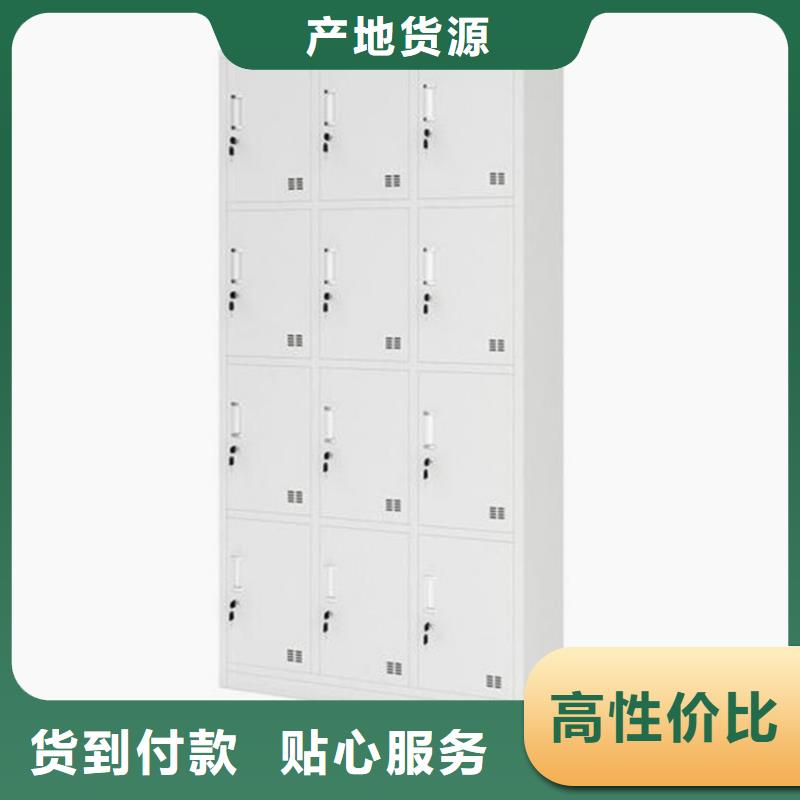 石岩街道学生铁皮柜双柱钢制书架
