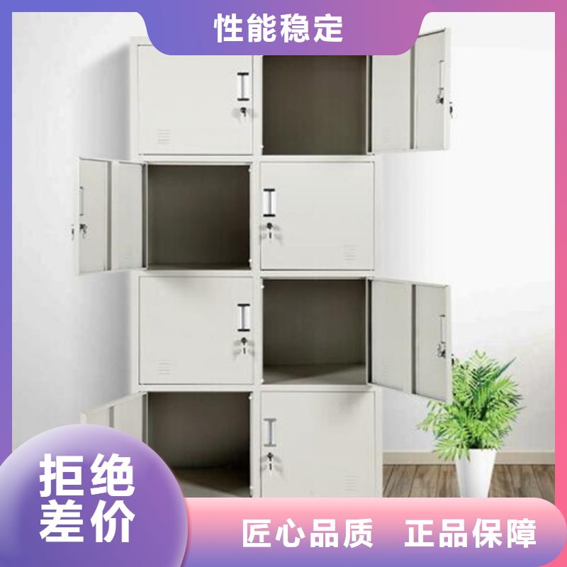 石岩街道学生铁皮柜双柱钢制书架