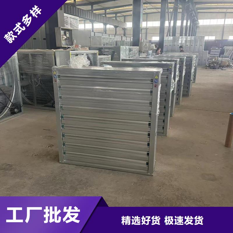 D系列四孔风帽源头厂家