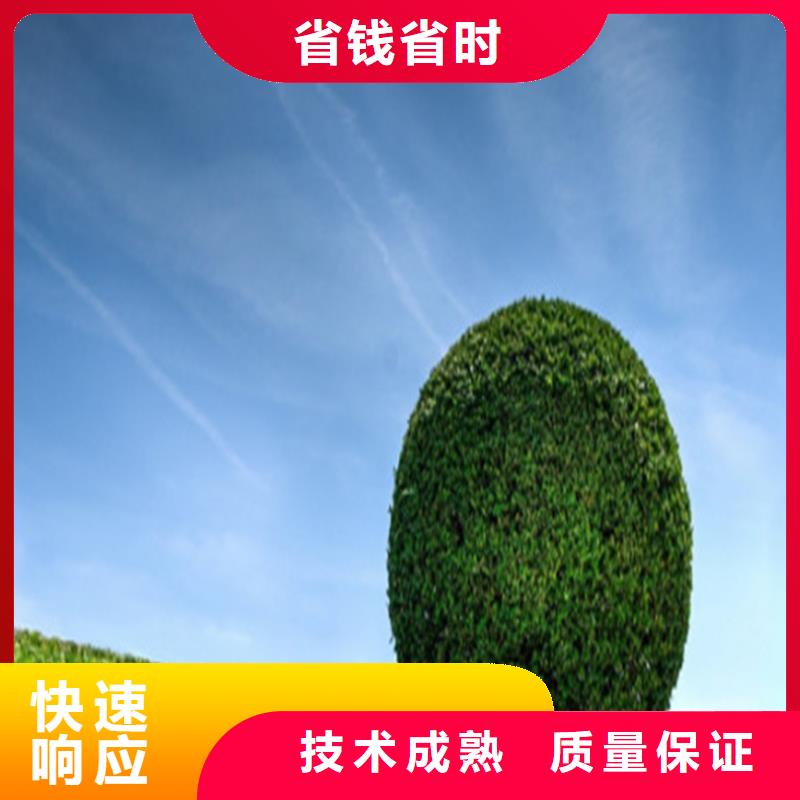 工程预算_BIM咨询值得信赖