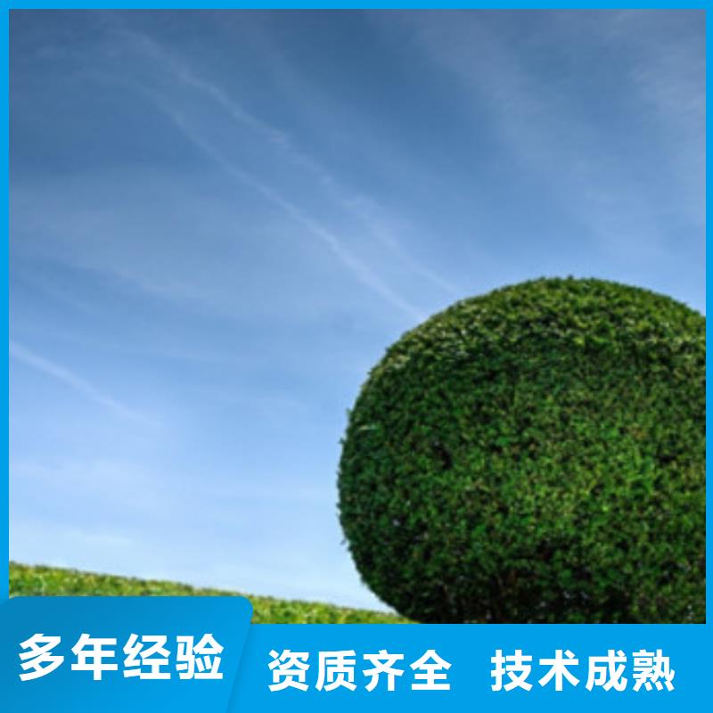 【工程预算】标书制作服务至上