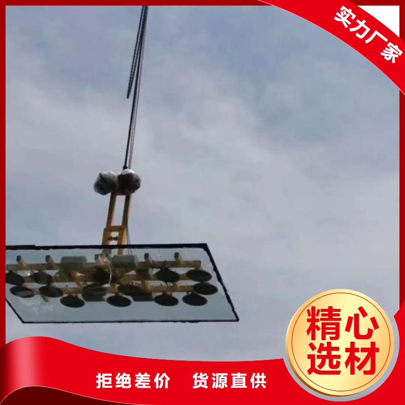 玻璃吸盘传菜升降机电梯实体厂家支持定制