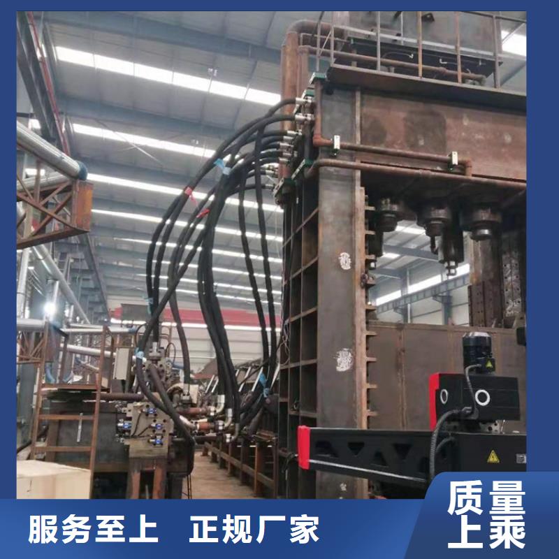 龙门剪废铁金属压块机现货销售