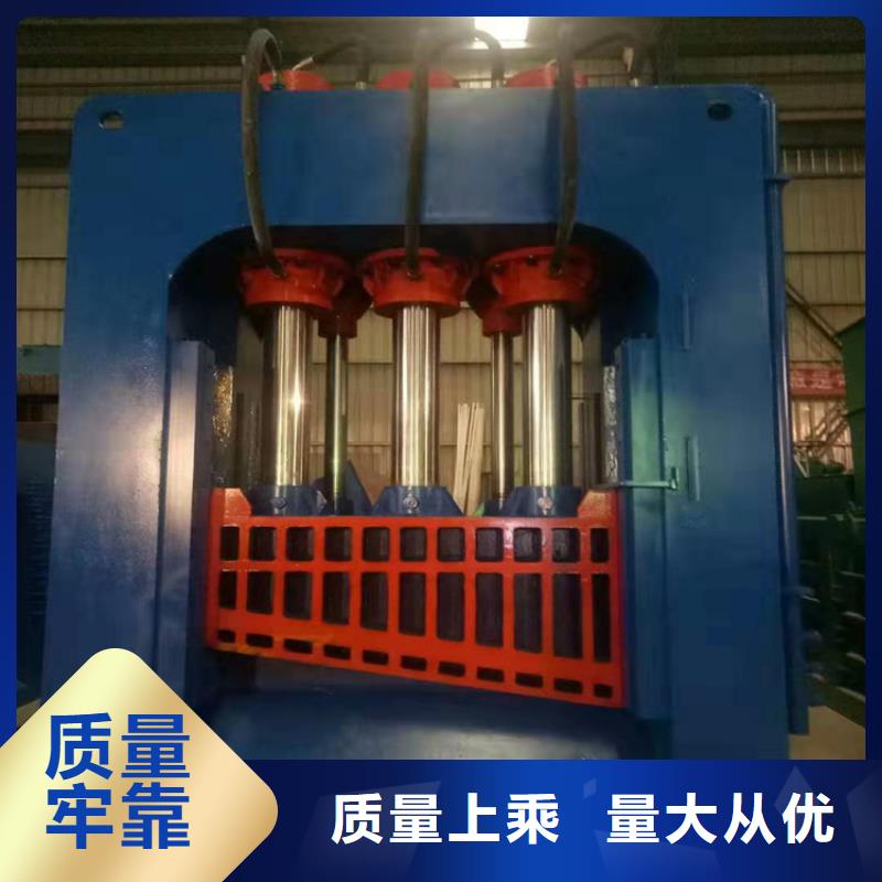 龙门剪,废旧金属撕裂机讲信誉保质量