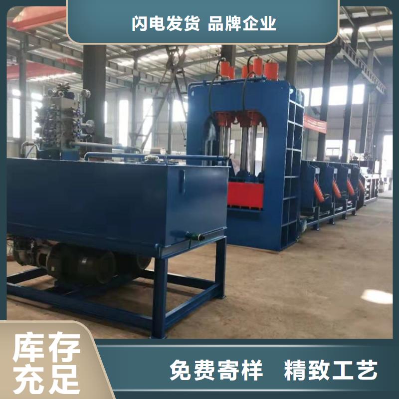 龙门剪_液压废纸压包机厂家发货迅速