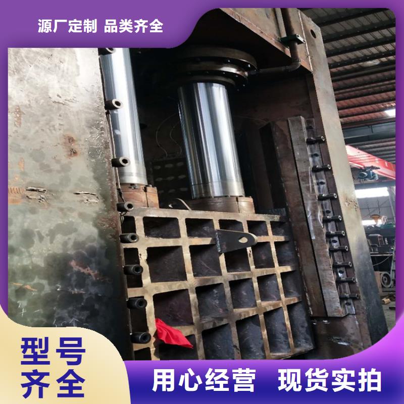 龙门剪,废旧金属撕裂机讲信誉保质量