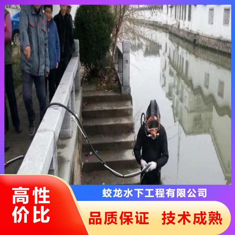 桥桩桥墩水下检测录像公司本地有吗