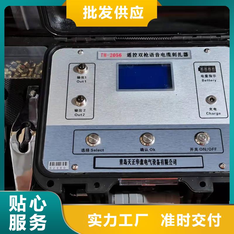 管线防腐层巡检系统发货快