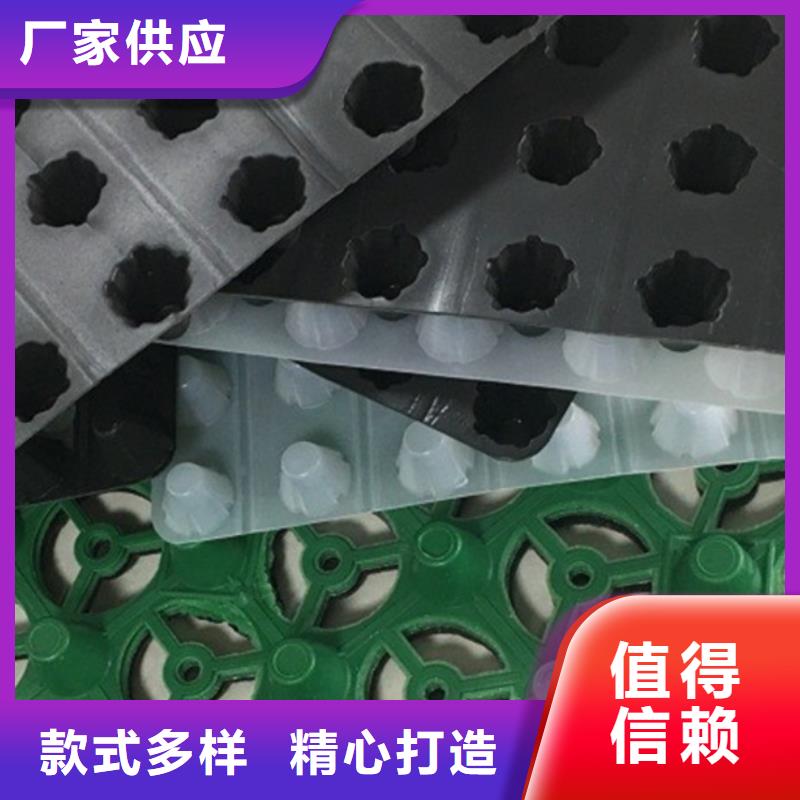 排水板植草格联系厂家