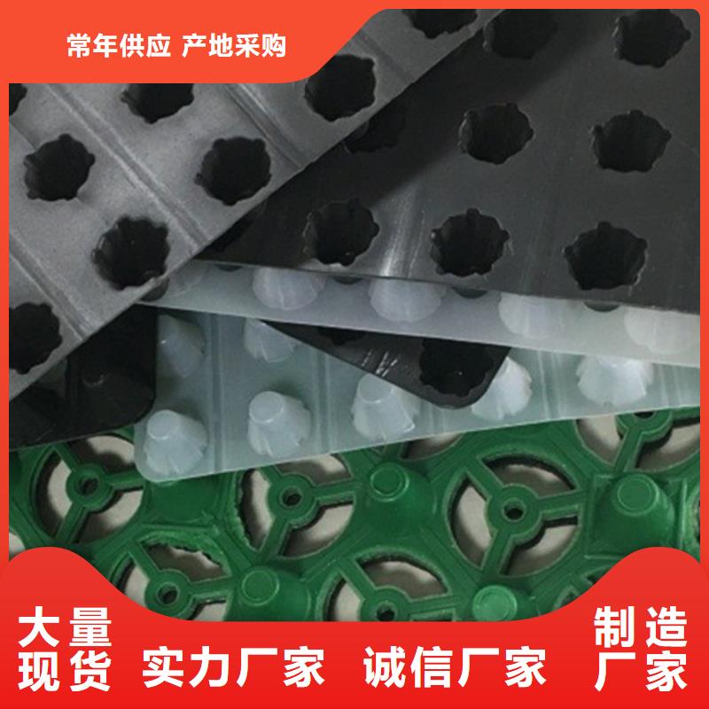【排水板】水泥化粪池实力厂家直销