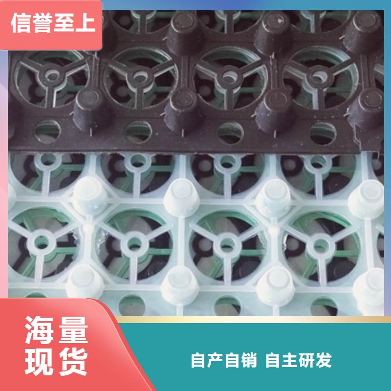 【排水板】植草格现货销售