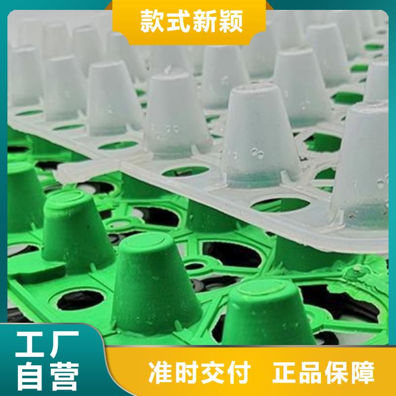 排水板水泥化粪池真材实料
