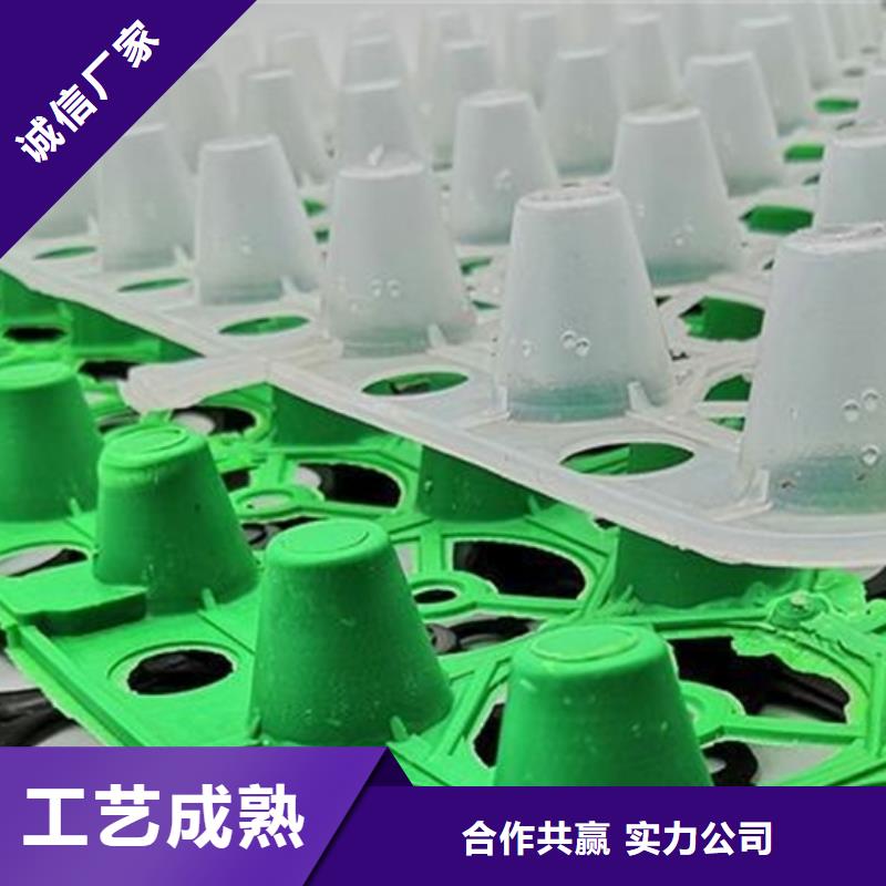 排水板水泥化粪池省心又省钱