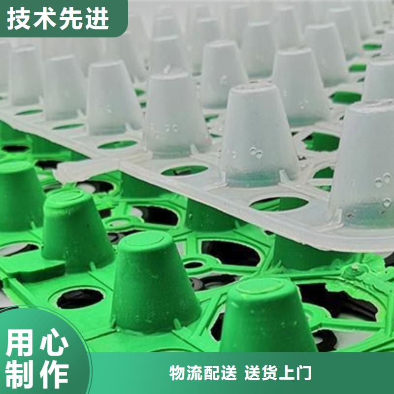 排水板水泥化粪池价格合理