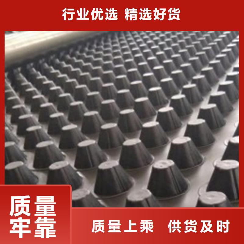 【排水板水泥化粪池源头厂家直销】