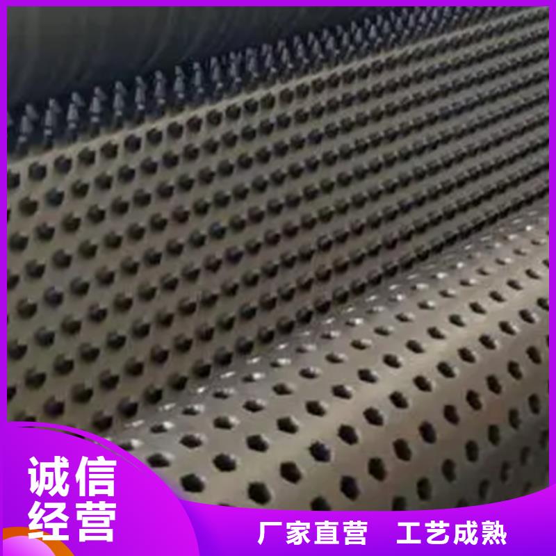 排水板植草格品质保障价格合理