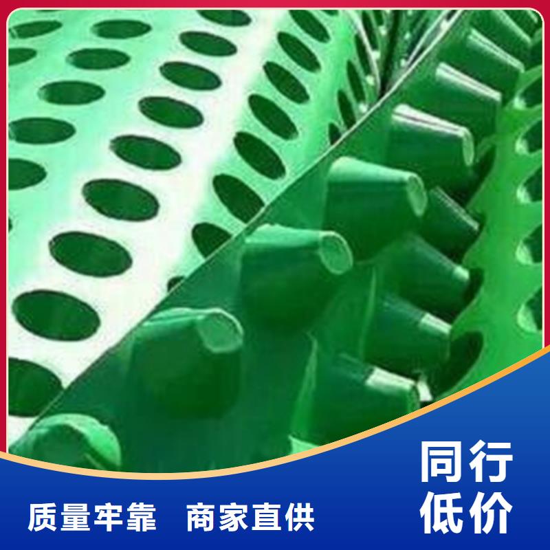 排水板-植草格今年新款