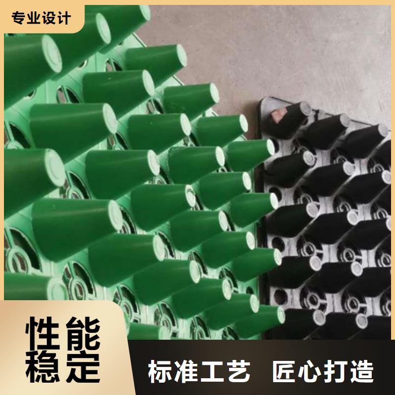 【排水板】植草格现货销售