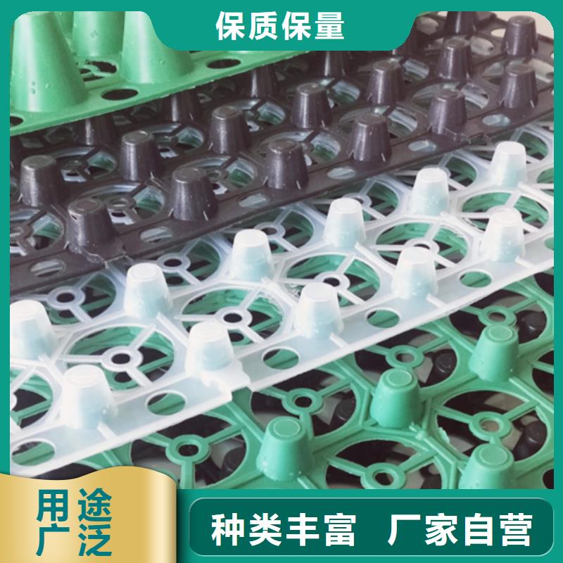 排水板【防护虹吸排水收集系统】实体厂家大量现货