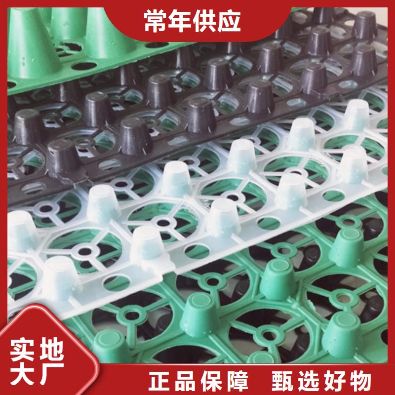 【排水板】-水泥化粪池质检严格放心品质