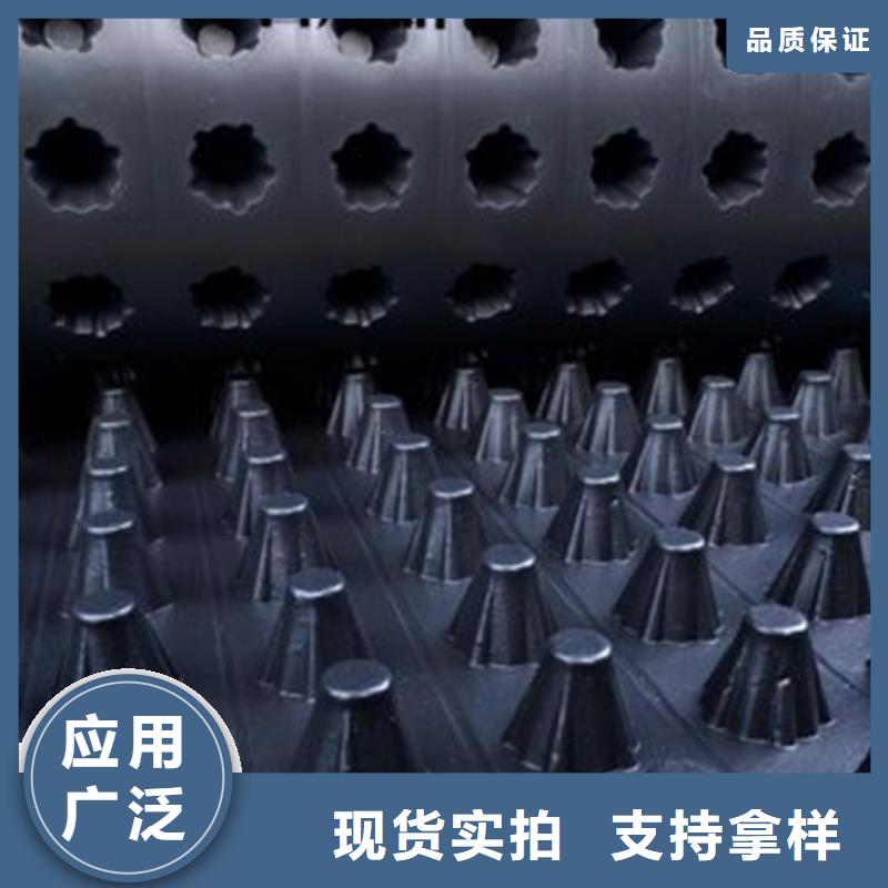 排水板实力优品