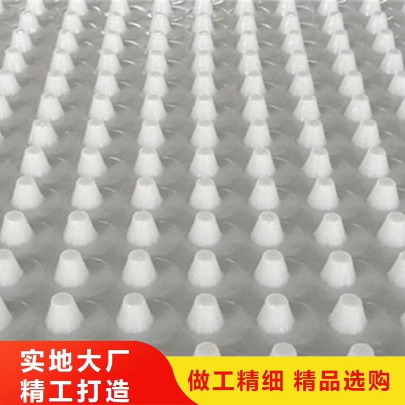 排水板植草格专业生产厂家