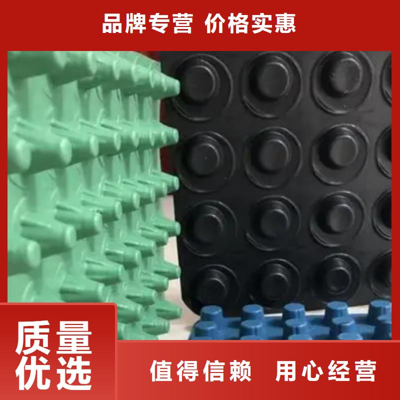排水板水泥化粪池价格合理