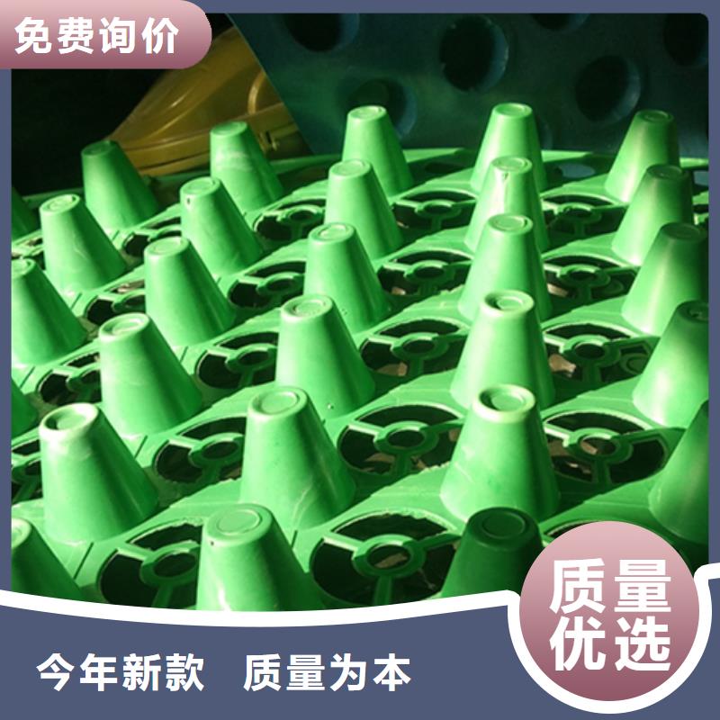 排水板防护虹吸排水收集系统工艺精细质保长久