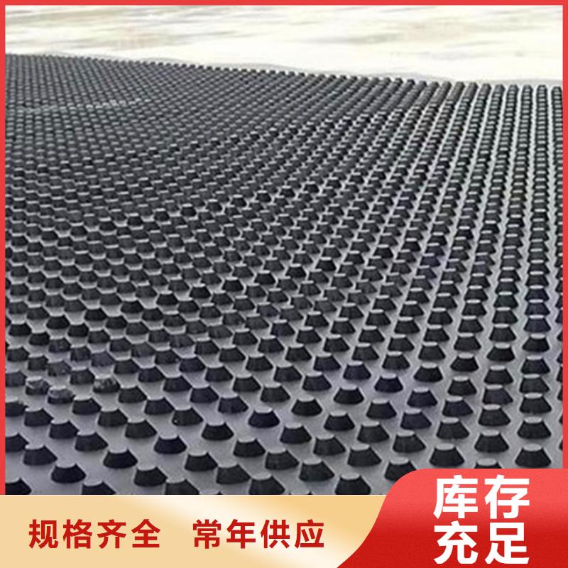 排水板诚信可靠