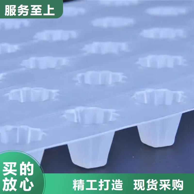 排水板植草格品质保障价格合理