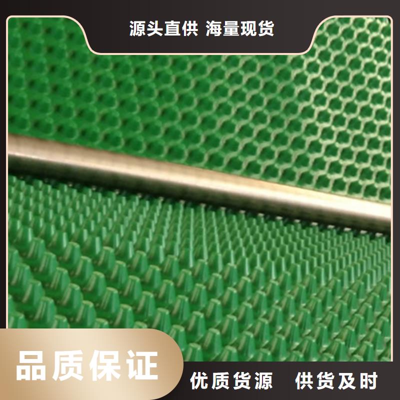 排水板水泥化粪池价格合理