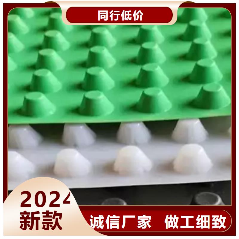 排水板植草格种类多质量好