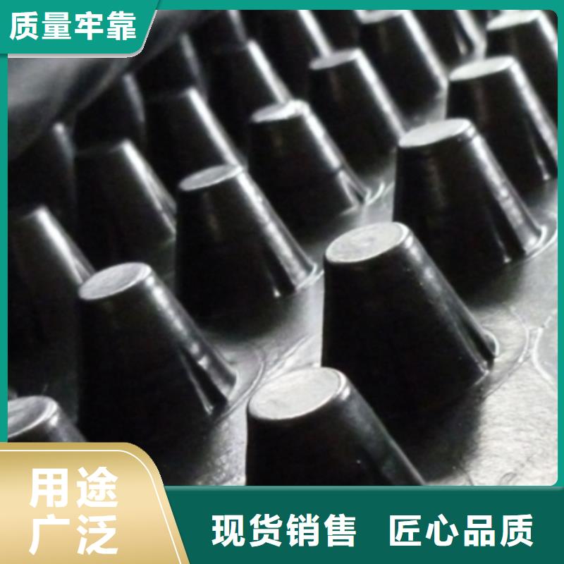 排水板植草格厂家直销放心