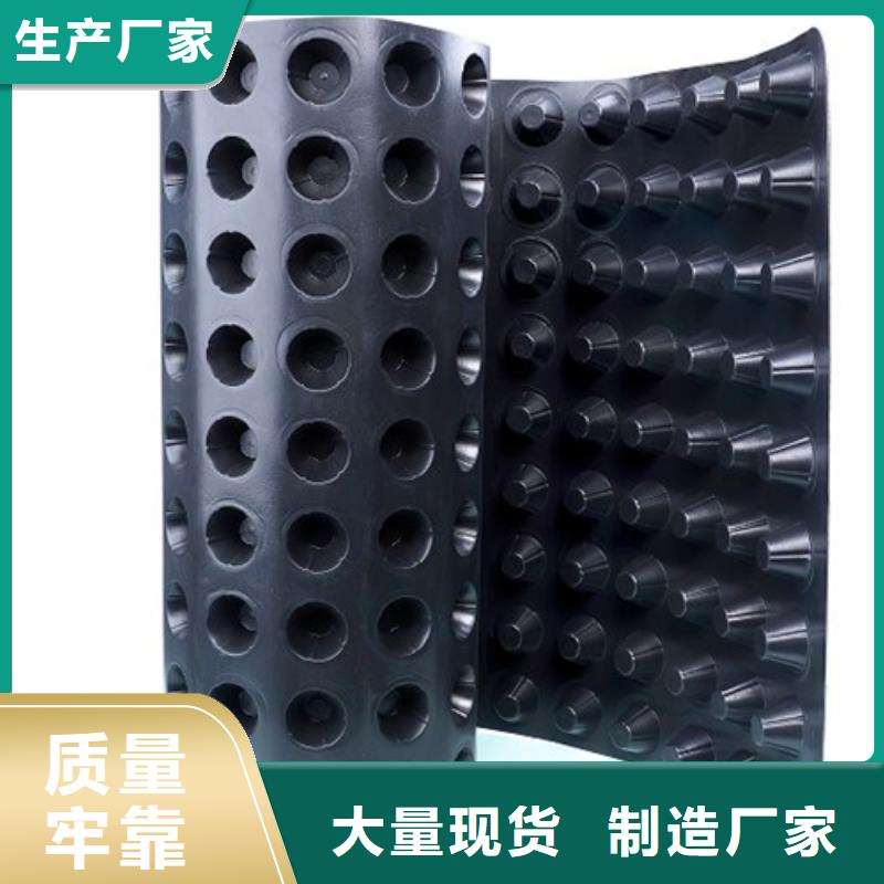 排水板植草格按需定制真材实料