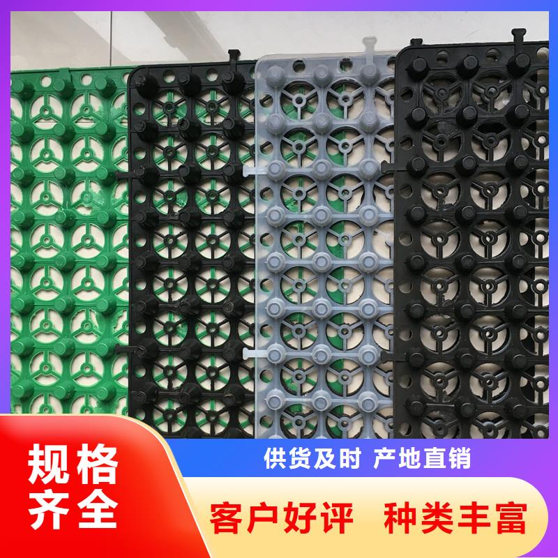排水板防护虹吸排水收集系统敢与同行比质量