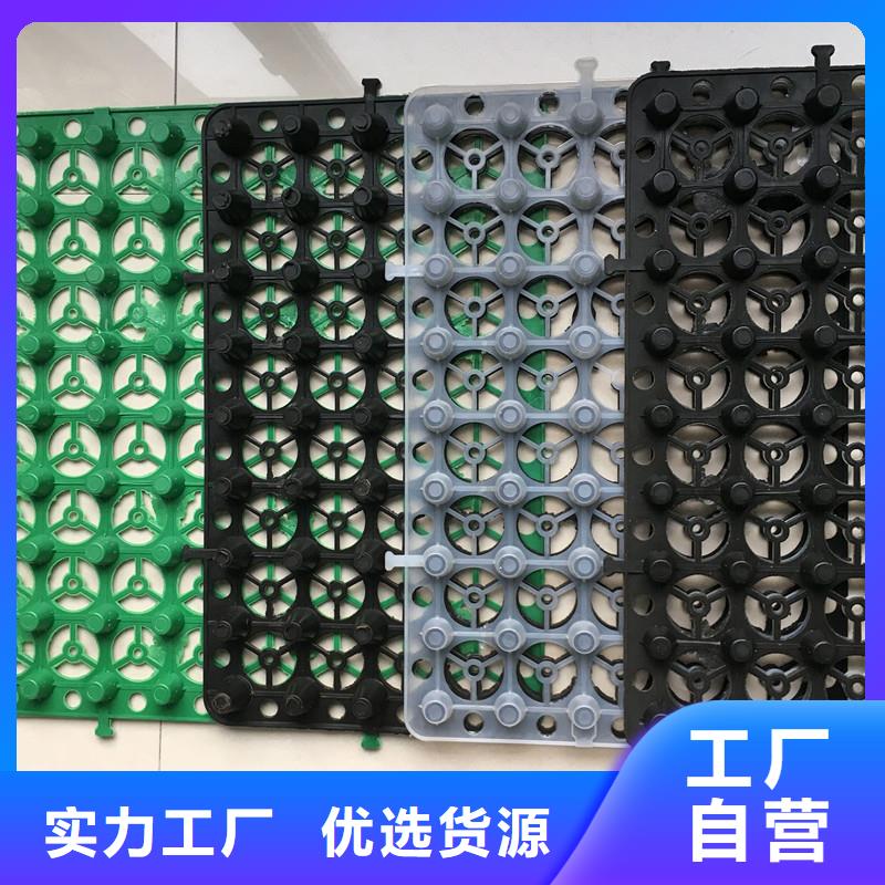 【排水板植草格质优价廉】