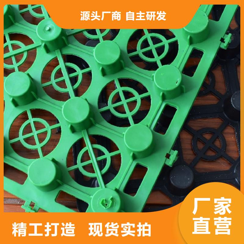 【排水板,化粪池水泥超产品在细节】