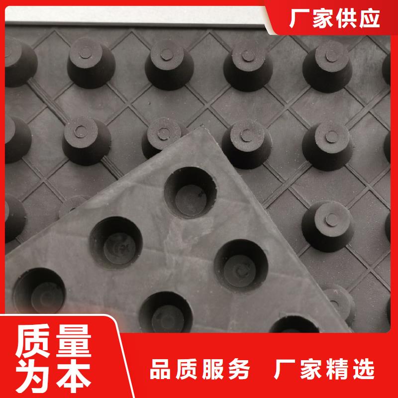 排水板水泥化粪池真材实料
