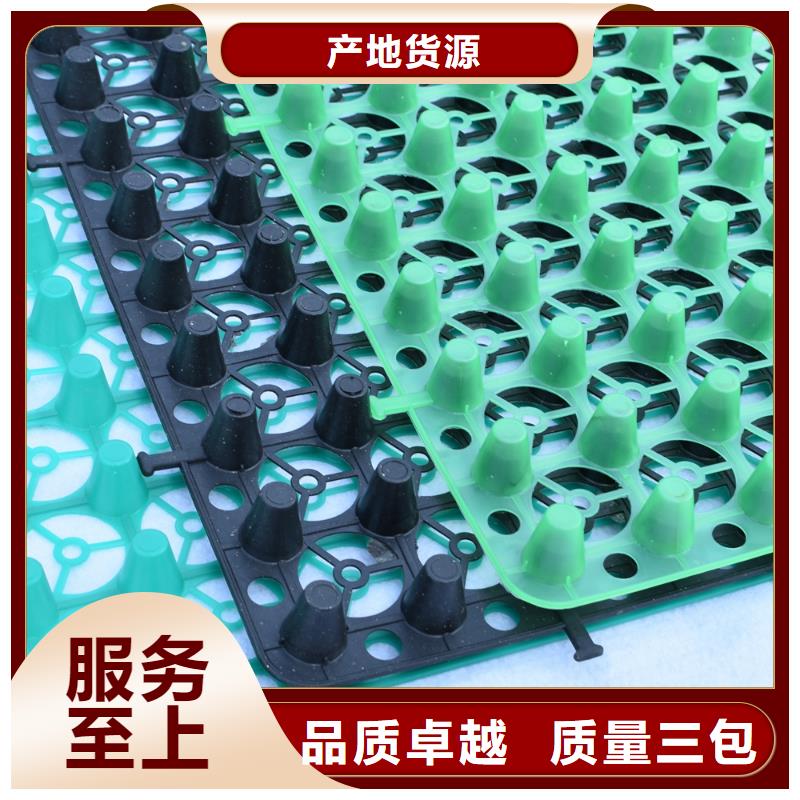 排水板防护虹吸排水收集系统拒绝中间商