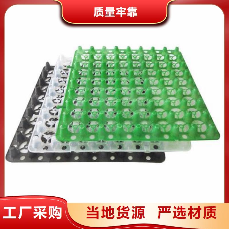 排水板水泥化粪池一对一为您服务