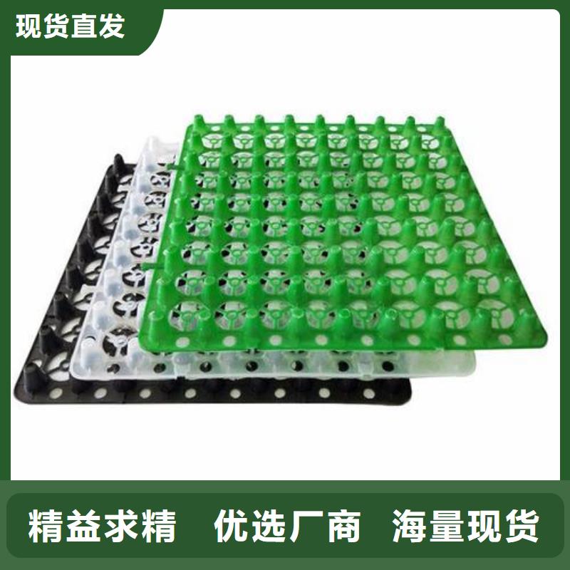 排水板植草格欢迎来电咨询