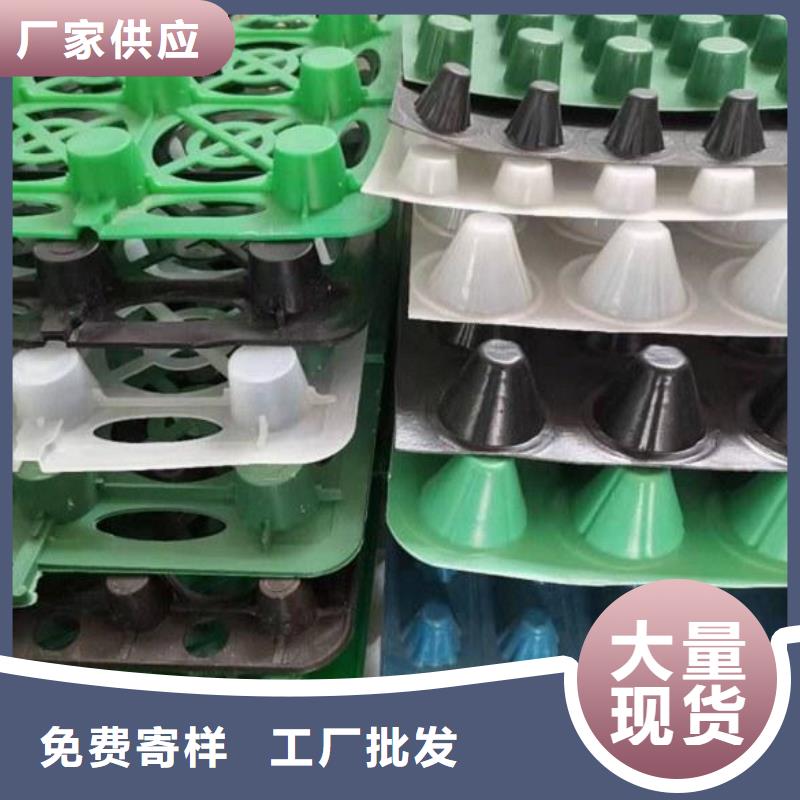 排水板水泥化粪池价格合理