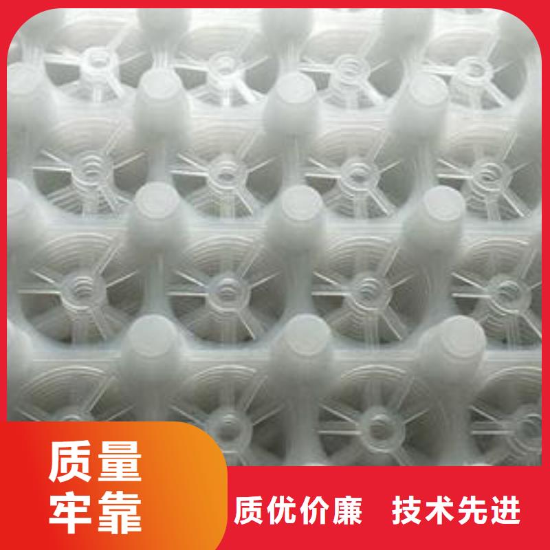 排水板水泥化粪池量大更优惠