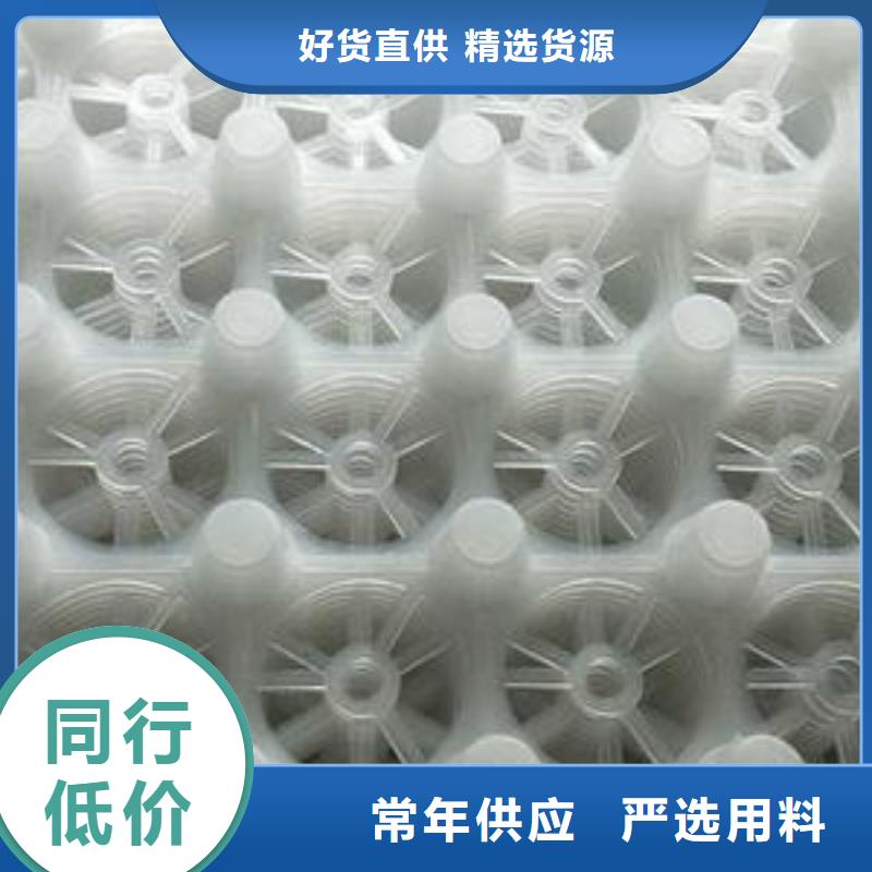 排水板植草格品质可靠