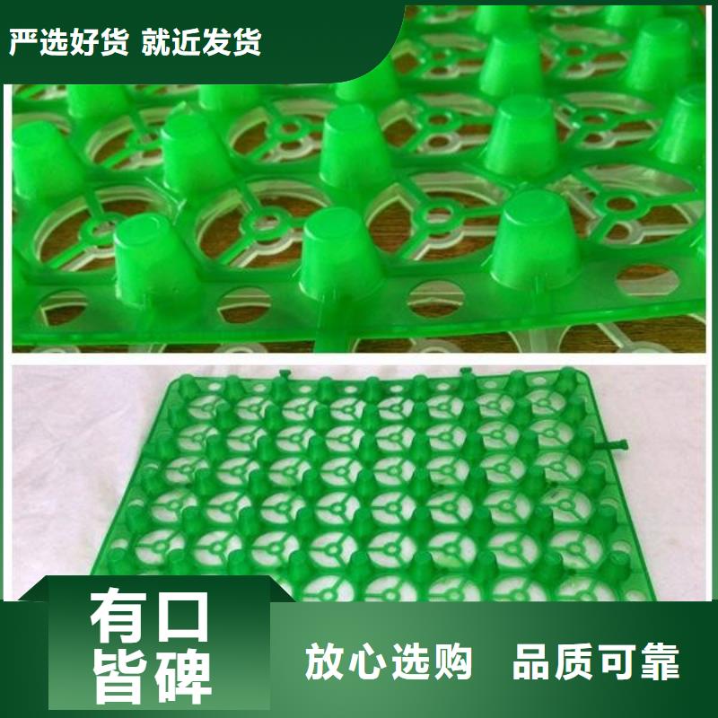 排水板水泥化粪池一对一为您服务